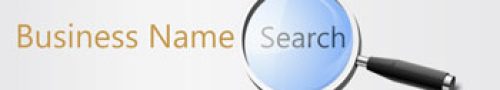 business-name-search3 business-name-search3